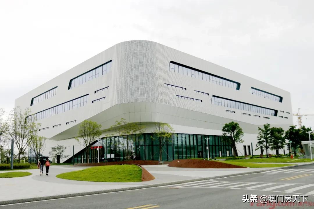 史志編寫任務步驟指南,最新方法與策略