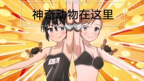 最新紳士番探討，解讀一種文化現象的深度視角