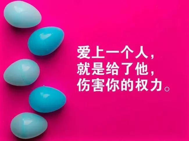 精彩音樂匯2025最新回顧,聆聽時代之音