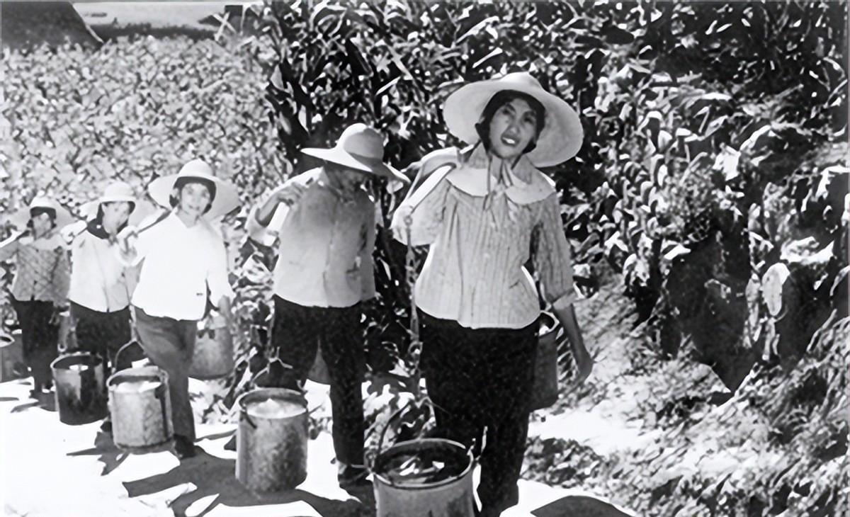 十大最新創業領域，點燃激情，開啟無限可能之旅