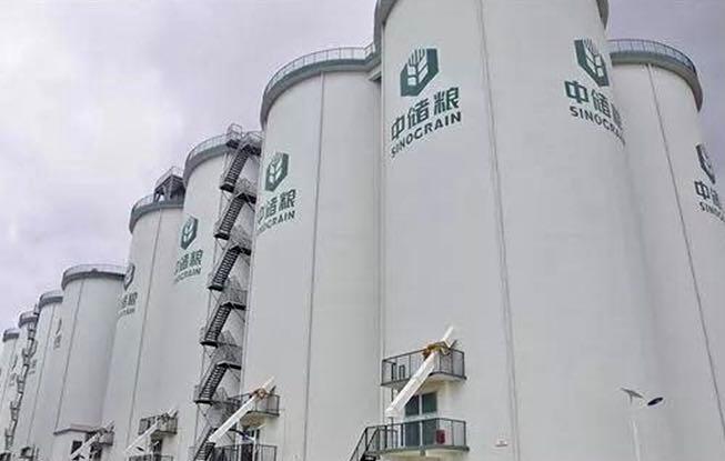 最新疫情動態(tài)下的全球探索與輕松自然之旅