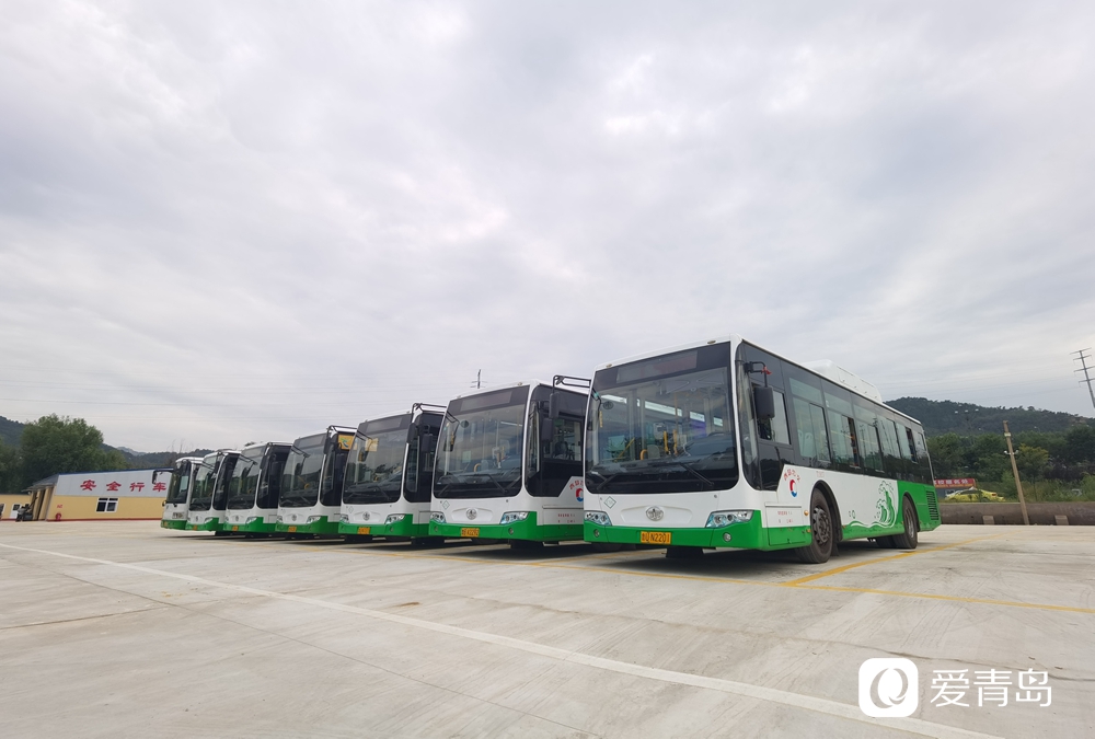 青島公交最新動(dòng)態(tài)，一路相伴的溫馨日常