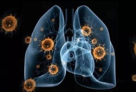 新冠肺炎最新動態疫情，背景、進展與影響概述