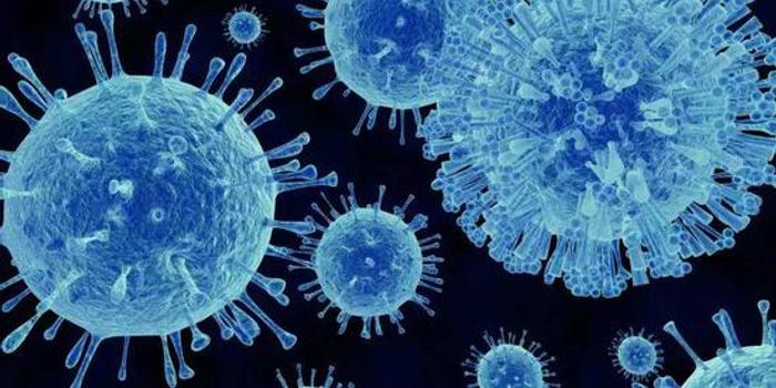 全球病毒死亡人數(shù)最新統(tǒng)計(jì)概況