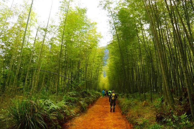 廣樂疫情最新情況更新，疫情動態及防控進展