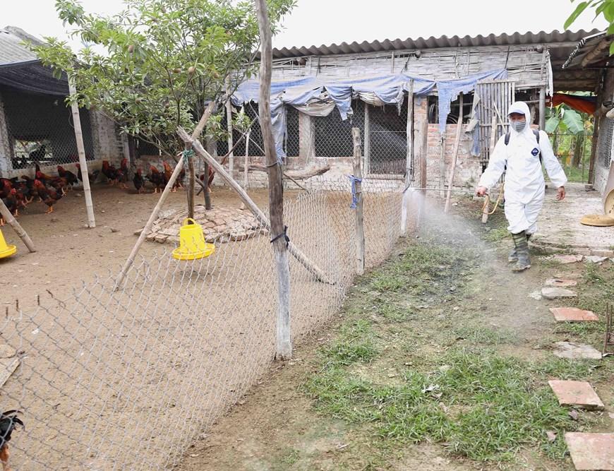 越南疫情最新通報(7月版)