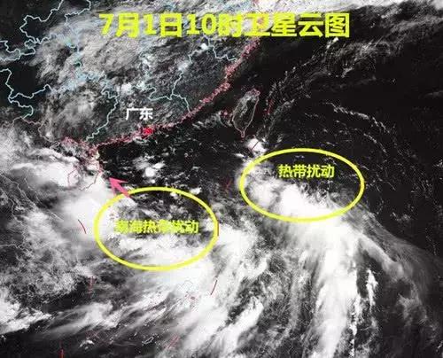 南海最新胚胎91w，高科技引領生活新紀元變革