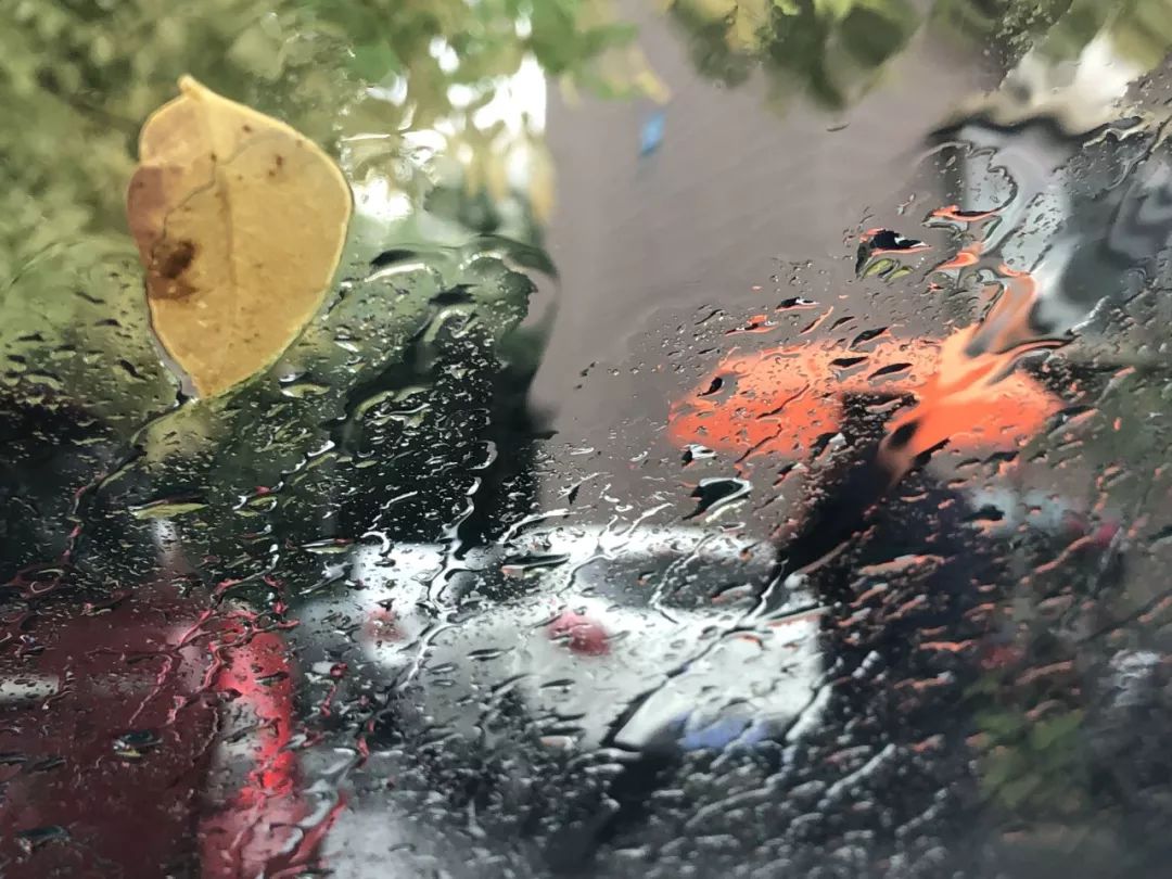 安慶降雨最新消息,雨中故事與實時更新資訊