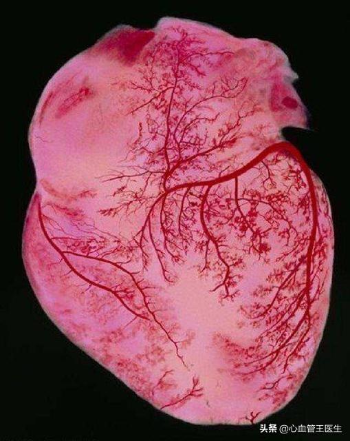 新冠肺炎最新治療進(jìn)展，研究動態(tài)與突破