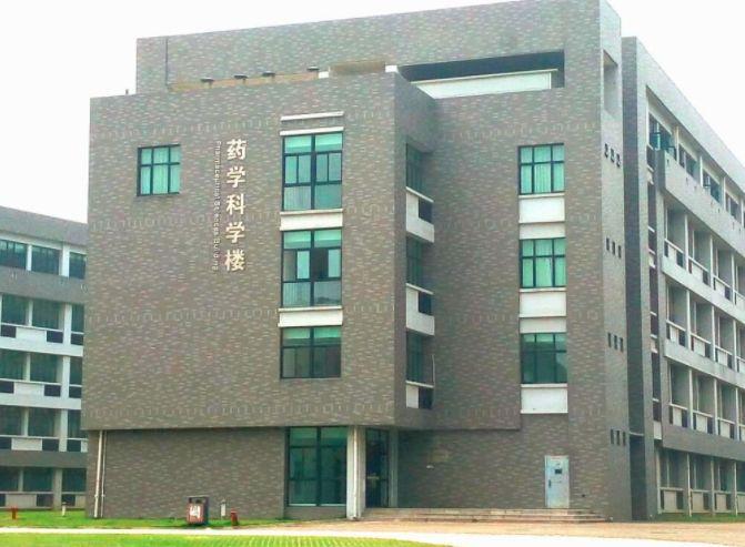 江蘇一本投檔線最新動態(tài),時代坐標(biāo)與教育航標(biāo)