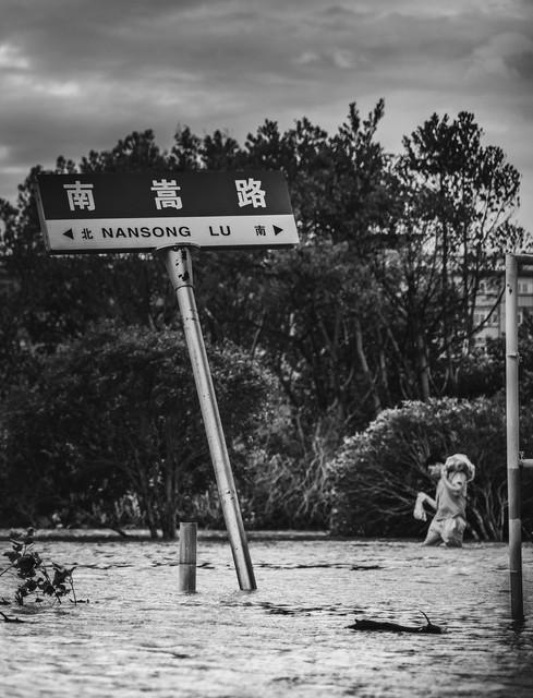 臺(tái)風(fēng)XX最新動(dòng)態(tài)，影響分析及其進(jìn)展