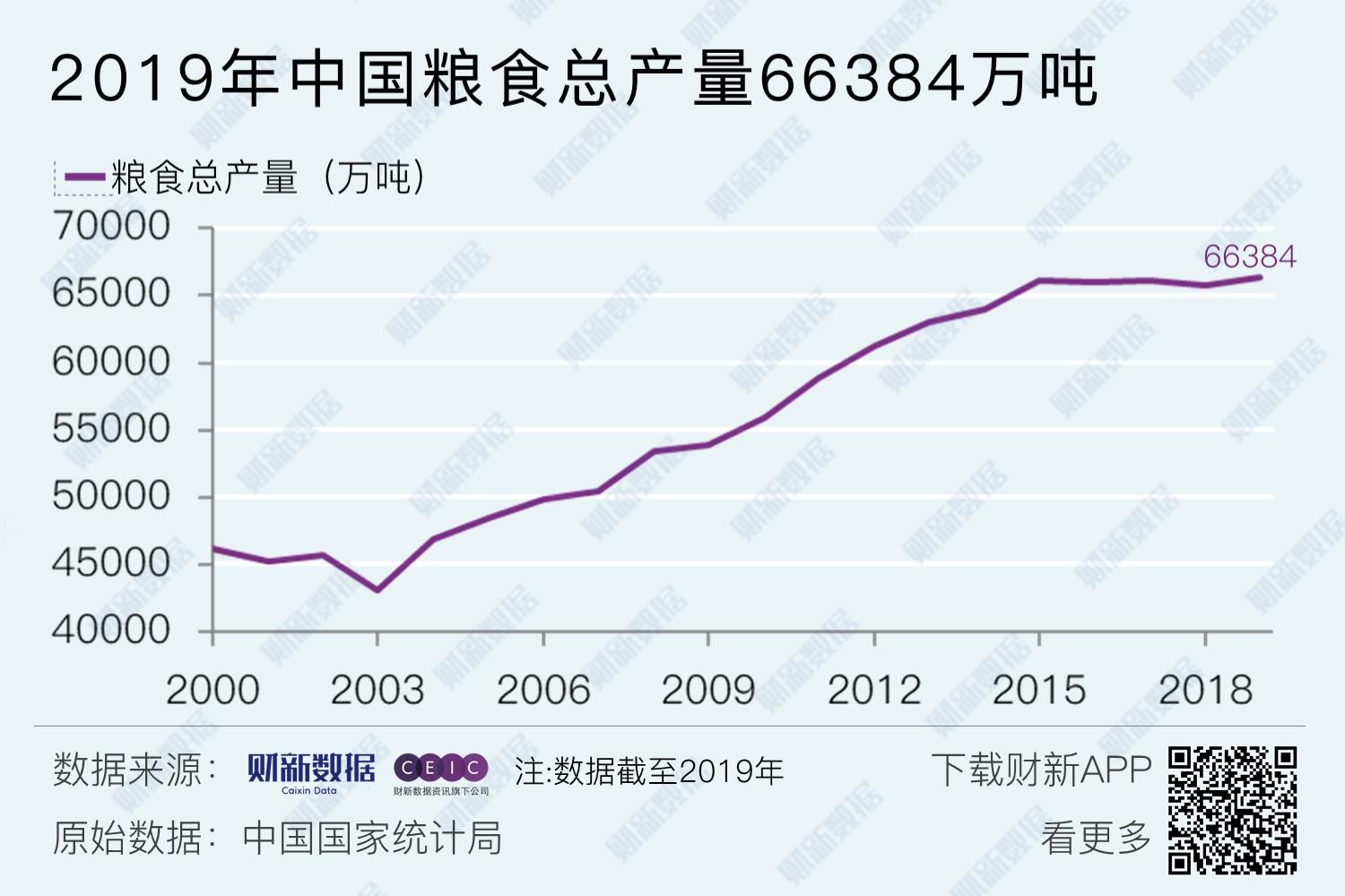 中國最新糧食產(chǎn)量背后的故事，稻田豐收與家的溫暖