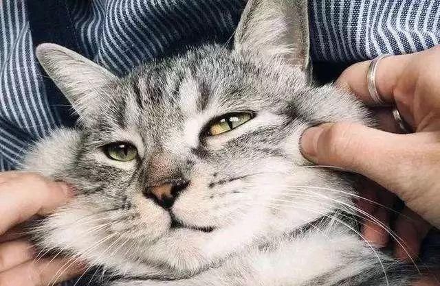 五A添盛坊青稞原漿 第66頁