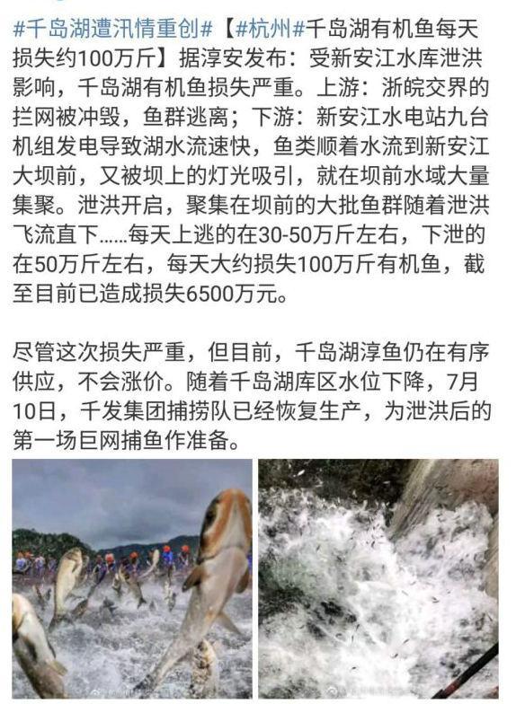 千島湖最新汛情解析及關注焦點全面梳理