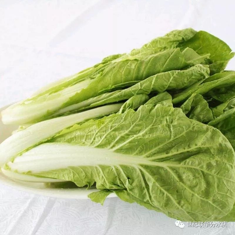 探索新鮮食材樂園，哪個平臺售賣最新鮮的菜品？