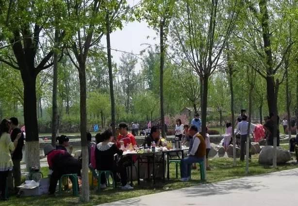 仙林最新地圖獲取與使用指南揭秘