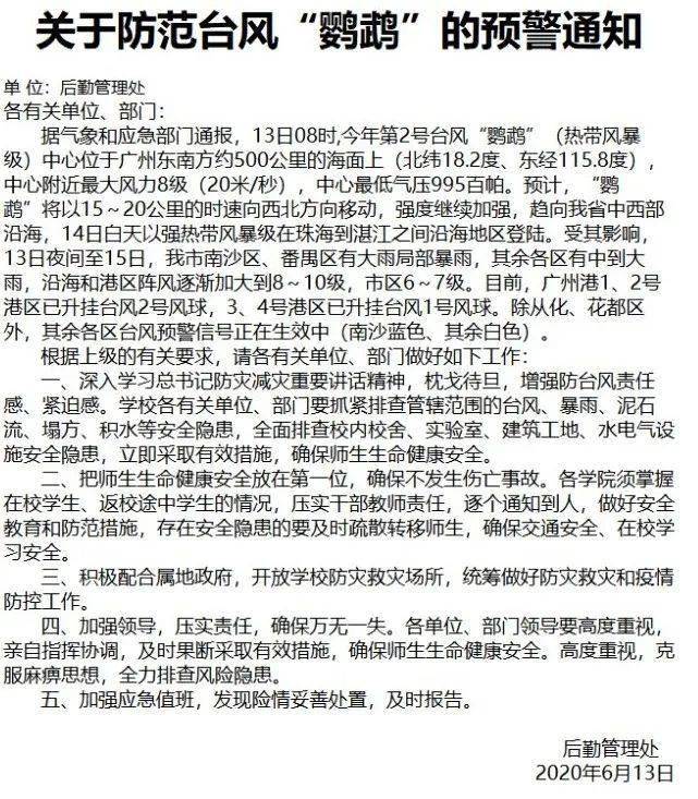 小鸚鵡臺風最新動態，溫馨有趣的風暴體驗之旅