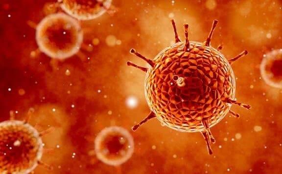 病毒源頭揭秘與最新疫情動(dòng)態(tài),學(xué)習(xí)變化中的信心與成就力量