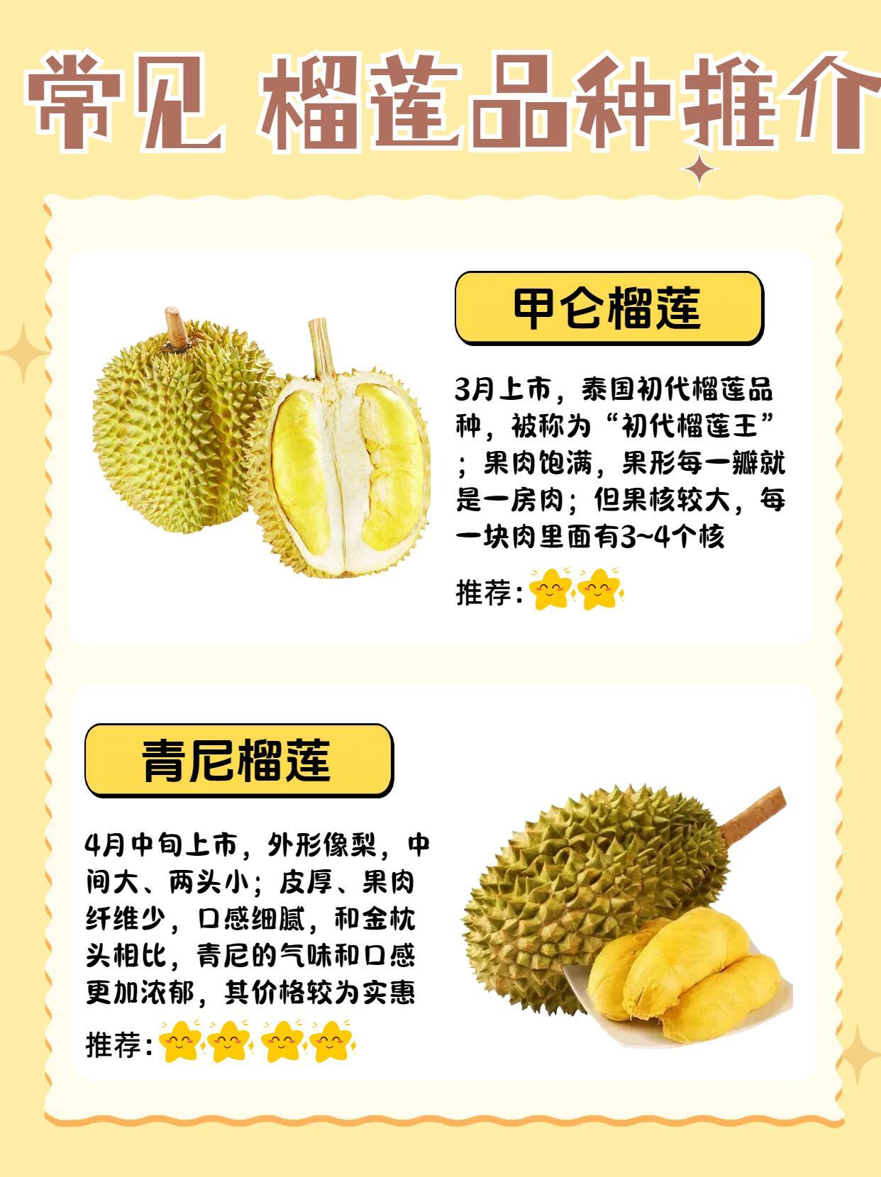 最新榴蓮手機(jī)發(fā)布,愛的連結(jié)與日常趣事的必備良伴