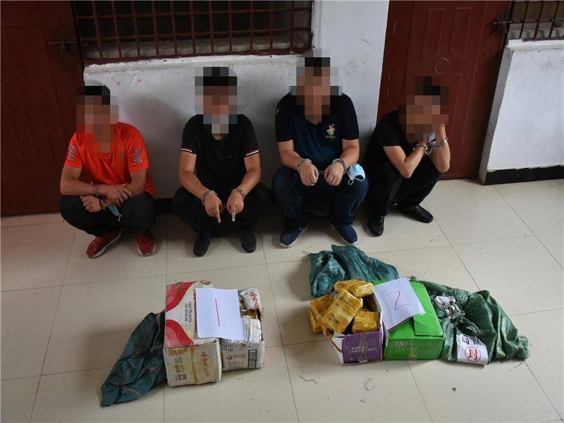 最新破獲販毒案件深度解析,揭示毒品犯罪內幕與打擊策略