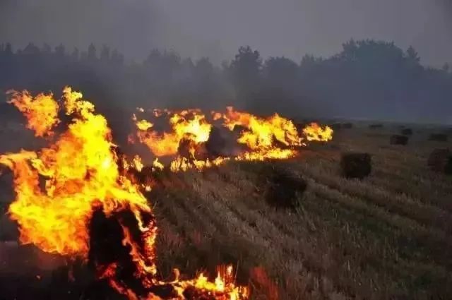 焚燒秸稈最新動(dòng)態(tài)，政策調(diào)整、環(huán)境影響及解決方案探討