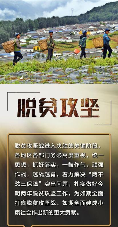 打贏脫貧攻堅戰最新進展與論述