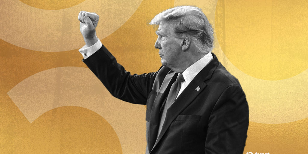 美國特朗普最新選舉揭秘,小巷背后的獨特故事與探秘之旅