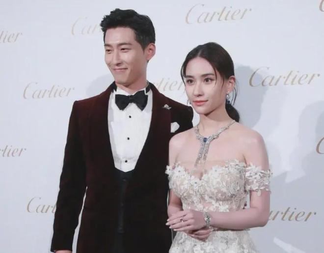 竇驍何超蓮最新深度聚焦,三大要點揭秘二人最新動態