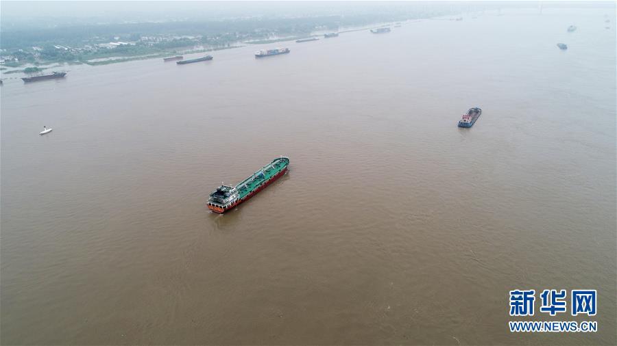 7月15日蕪湖水位實時報道，最新水位信息重磅更新
