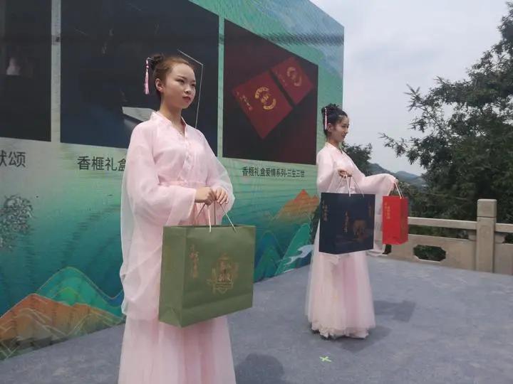 紹興交通事故最新情況及應對解決步驟指南，初學者與進階用戶的必備指南