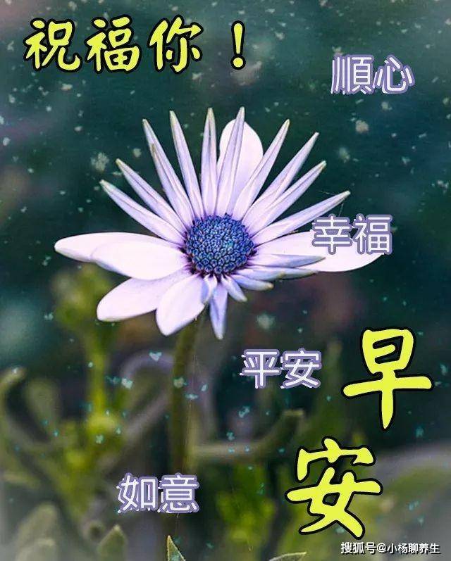 最新早上好祝福詞,活力啟程,自信擁抱學習與變化的每一天