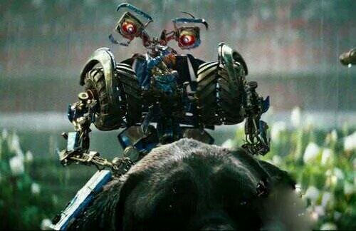 變形金剛最新女主,領(lǐng)略未來科技魅力的閃耀之光