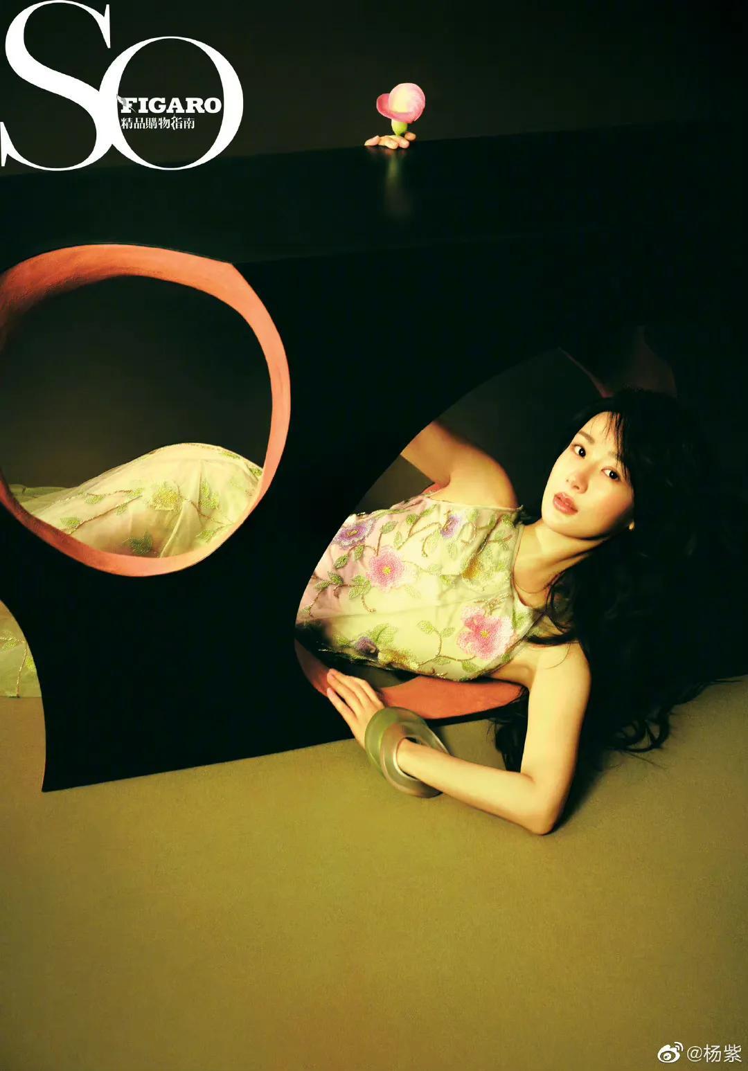 楊紫最新雜志購買指南，啟程尋找自然美景的旅行之旅