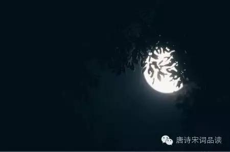 八月夜最新,夜的魅力與獨特風情展現